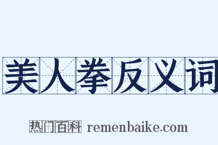 美人拳反义词是什么意思的图片